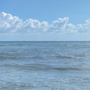 Bundle for Michelle !